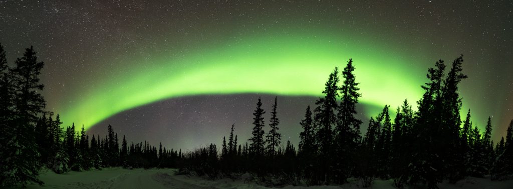 Auroral Arc in the Boreal Forest - an ultra-wide panoramic photo of the northern lights.