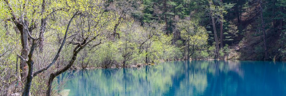 Spring bloom reflecting in a seemingly blue lake in Jiuzhaigou Valley National Park.