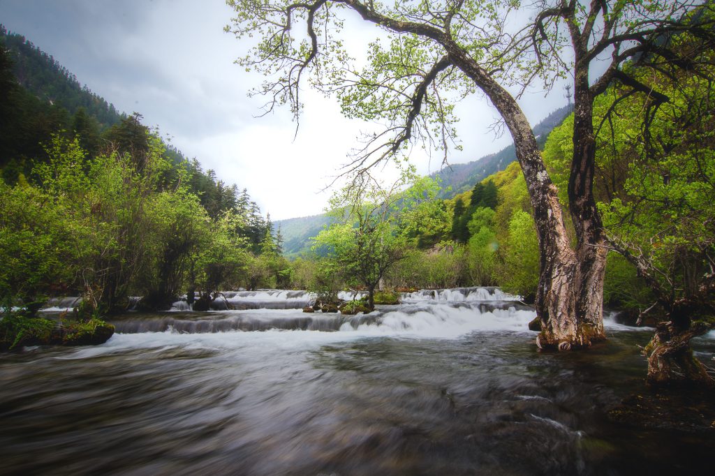 Juizhai Valley, Sichuan, China in the autumn. The tree foliage, landscape, and gentle flowing rivers and streams make this one of my favourite photography destinations anywhere in the world.