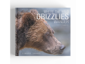 This is the cover of the book Where the Wild Grizzlies Wander, a coffee table book written by author and photographer Edward Savage