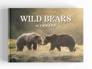 Wild Bears of Canada Coffee Table Book - Grizly Bear Cover. By author, photographer, and naturalist guide Edward Savage