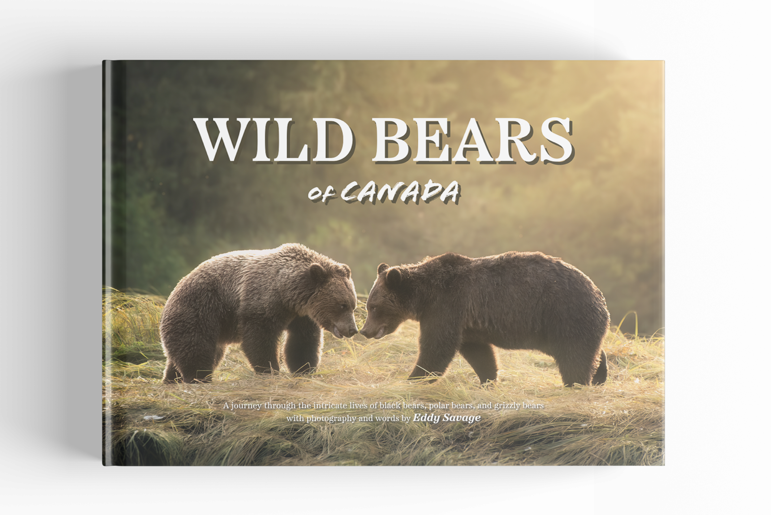 Wild Bears of Canada Coffee Table Book - Grizly Bear Cover. By author, photographer, and naturalist guide Edward Savage