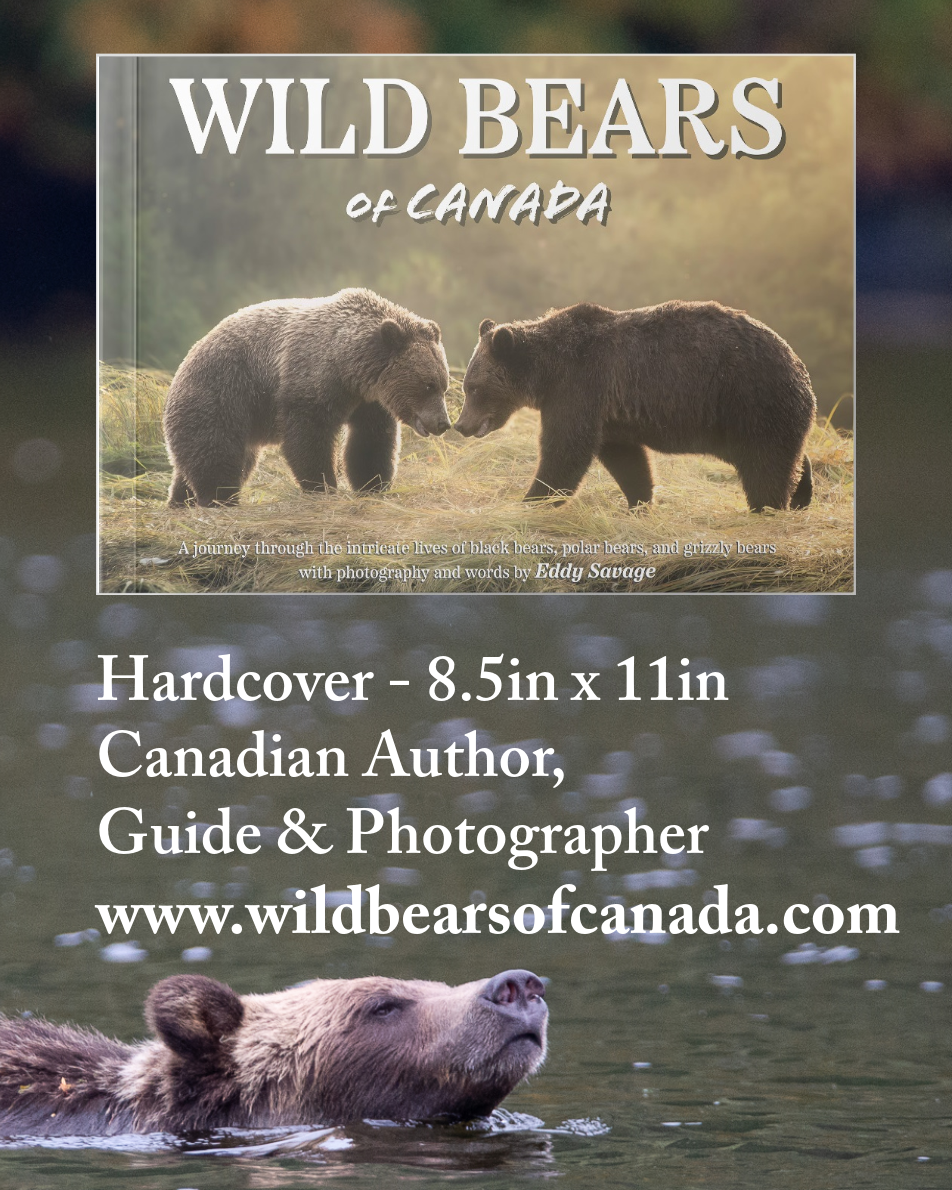 Wild Bears of Canada - Grizzly Bear Cover - Image 5