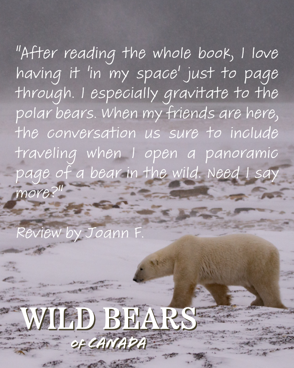 Wild Bears of Canada - Grizzly Bear Cover - Image 6