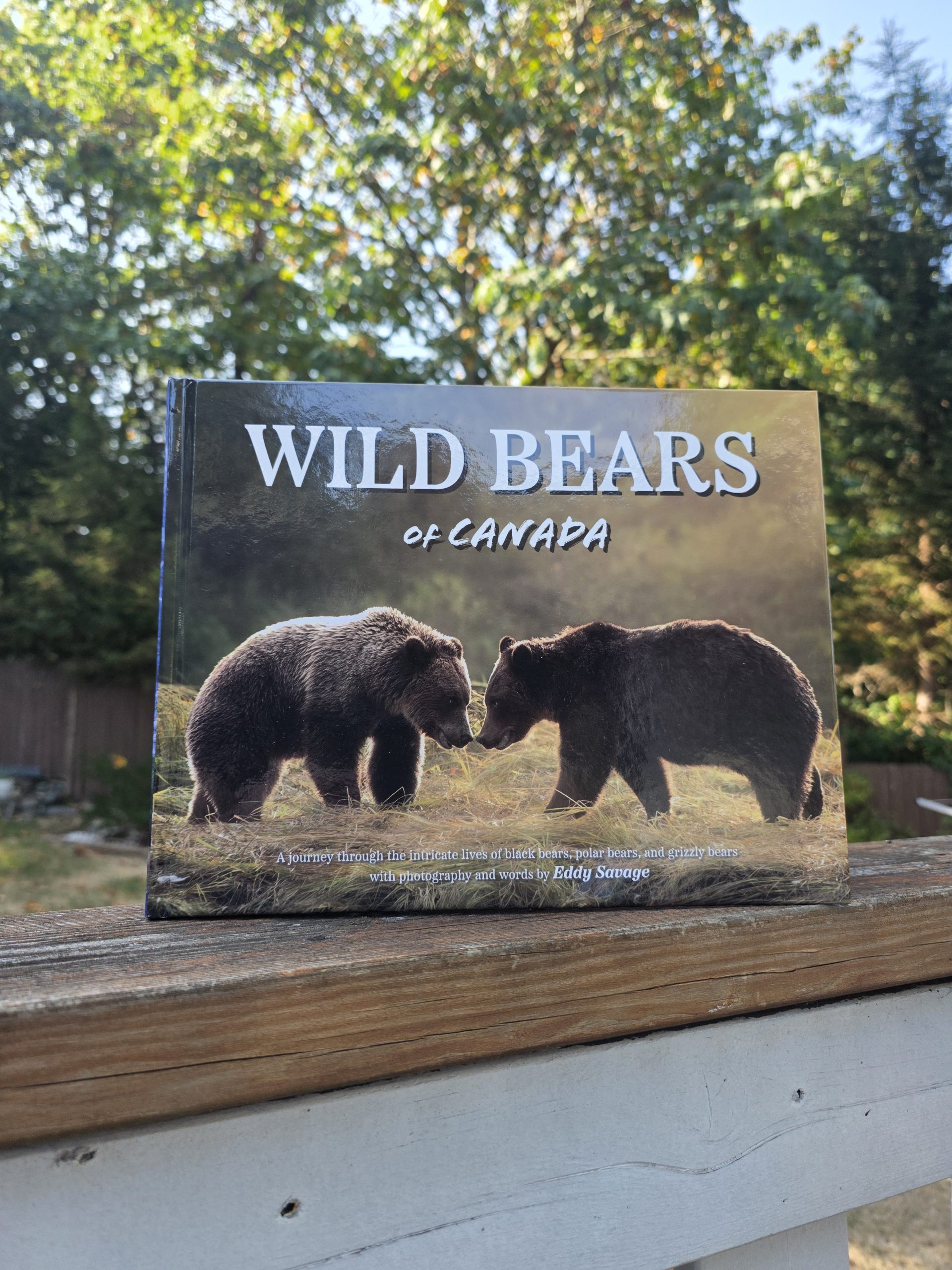 Wild Bears of Canada - Grizzly Bear Cover - Image 3