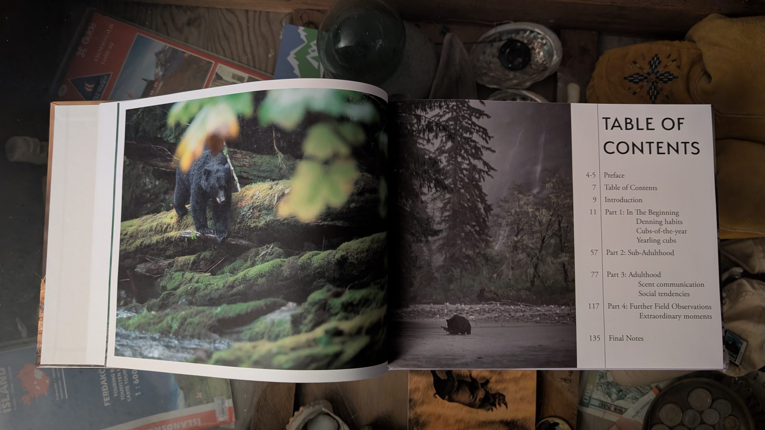 Wild Bears of Canada - Grizzly Bear Cover - Image 8