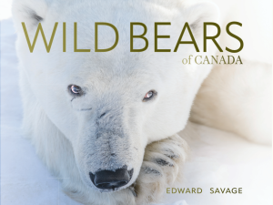 Wild Bears of Canada Coffee Table Book - Polar Bear Cover. By author, photographer, and naturalist guide Edward Savage