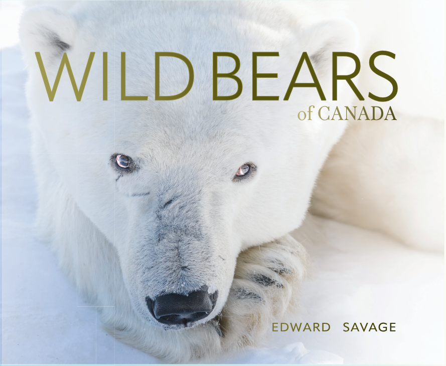 Wild Bears of Canada Coffee Table Book - Polar Bear Cover. By author, photographer, and naturalist guide Edward Savage