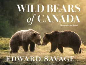 PRE-ORDER: Wild Bears of Canada - Photographs and Stories by Edward Savage