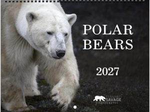 The polar bear calendar cover.