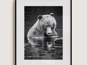 "Big Bear Reflection" Limited Edition Grizzly Bear Portrait