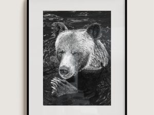 "Claws" Limited Edition Grizzly Bear Portrait