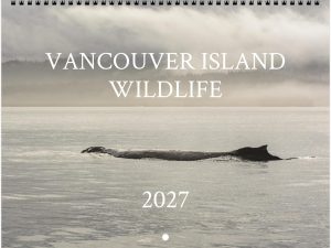 2027 Vancouver Island Wildlife Calendar by Edward Savage - Free Shipping