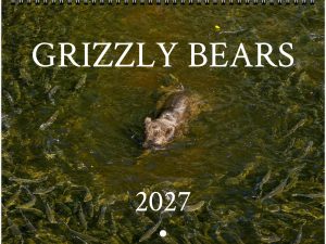 2027 Grizzly Bear Calendar by Edward Savage - Free Shipping