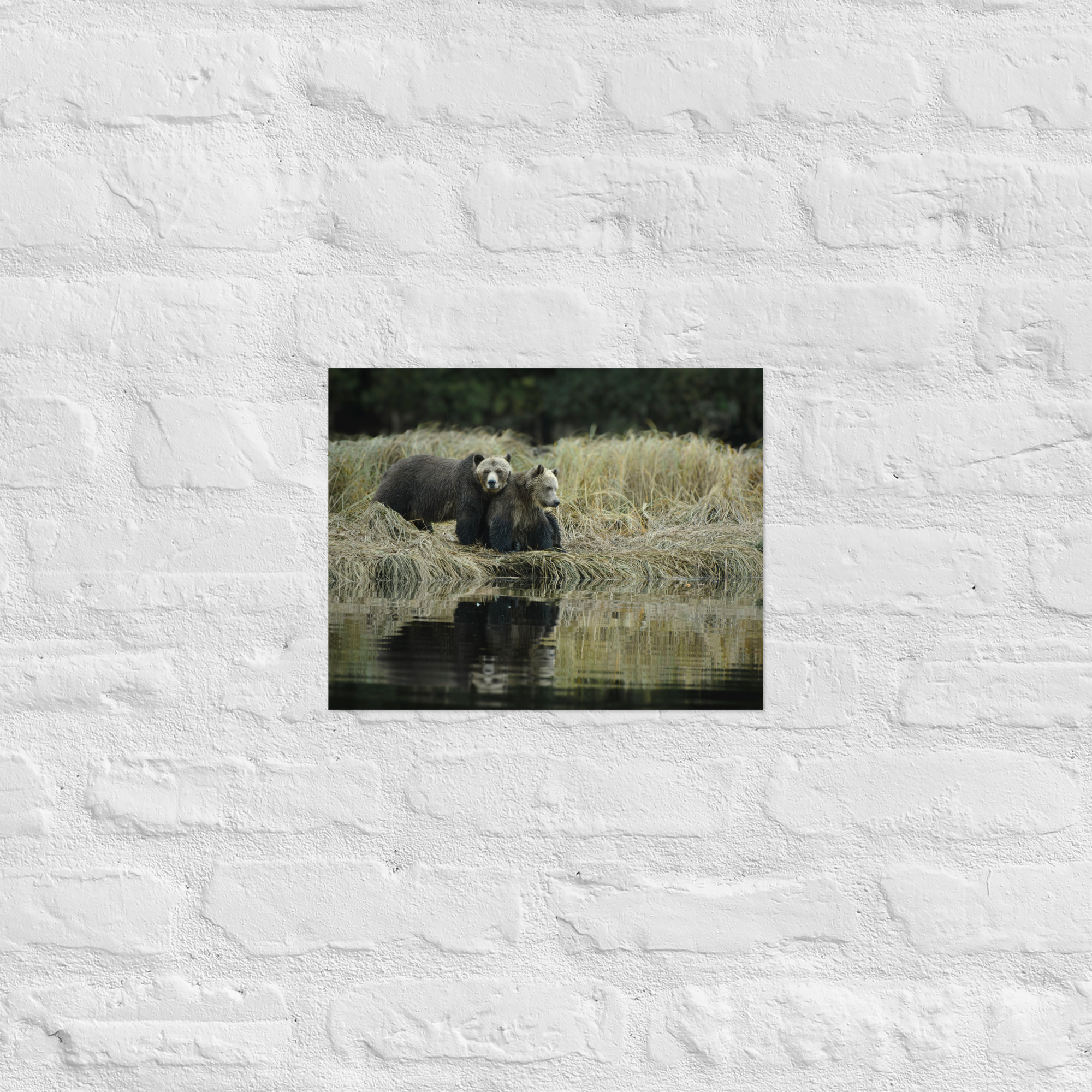 Family Reflections - Premium Photo Print (no frame) - Image 4