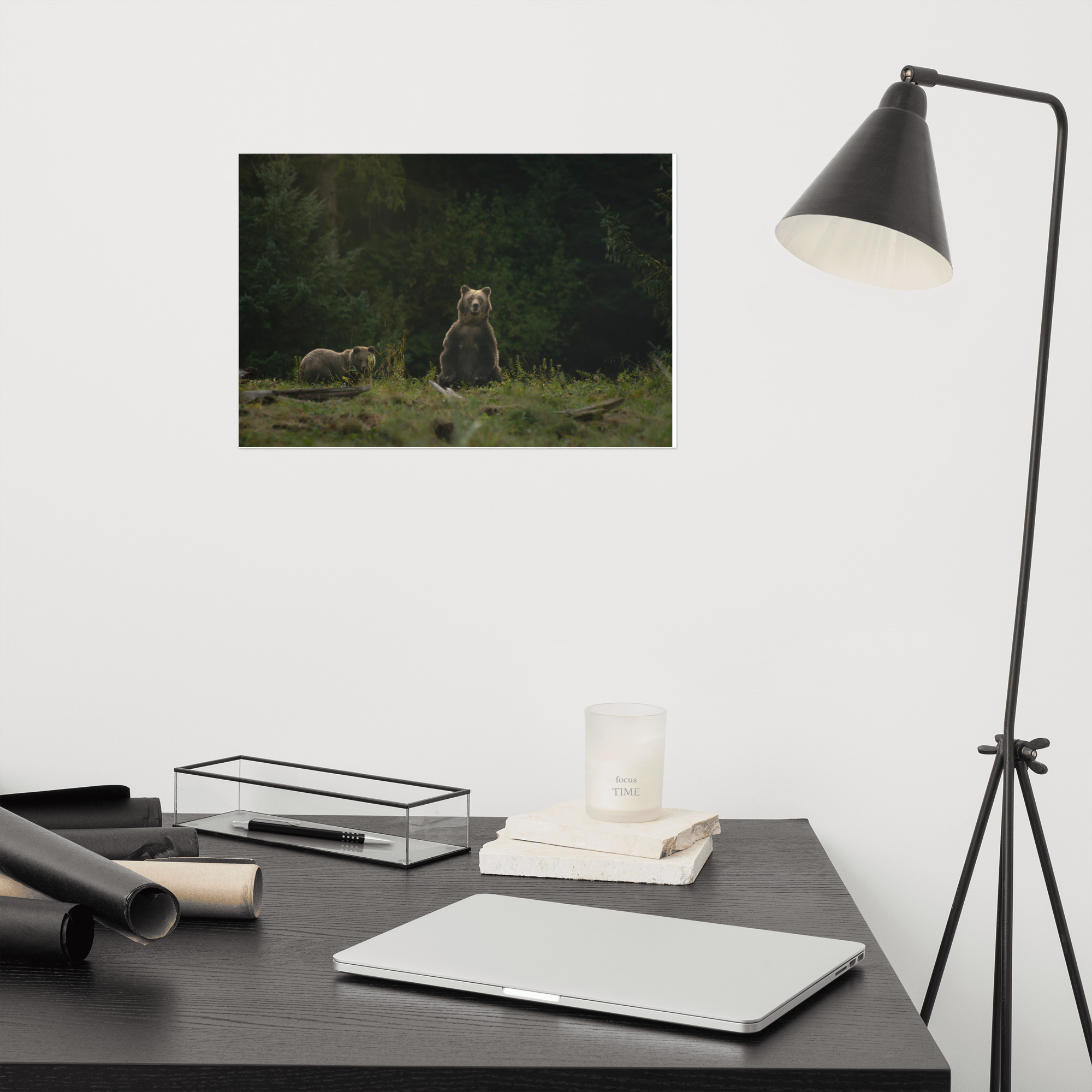 Watching, Waiting - Mom and Cub Grizzly Taking a Look - Premium Photo Print (no frame) - Image 3