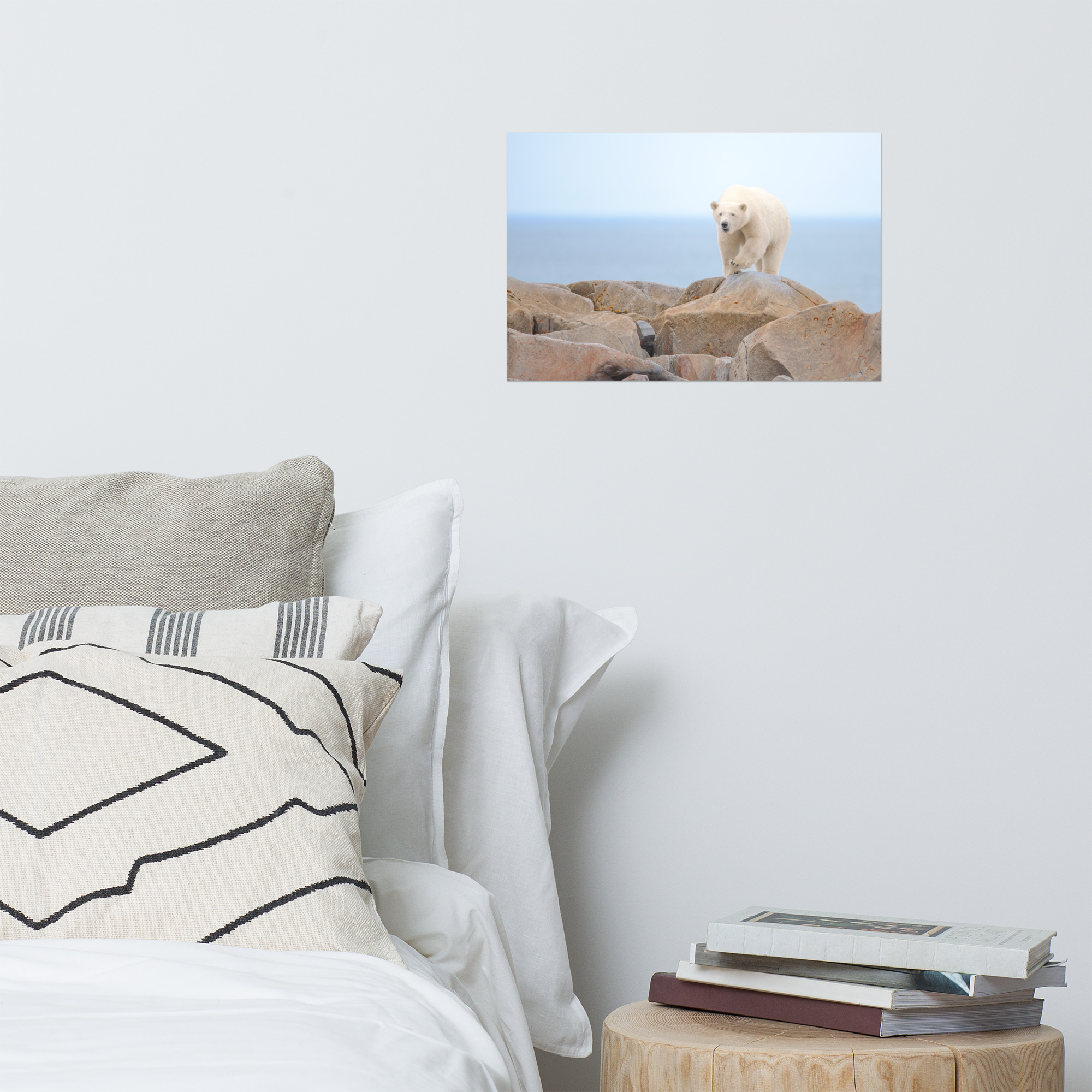 Minding the Cache - Premium Photo Print (no frame) - Image 2