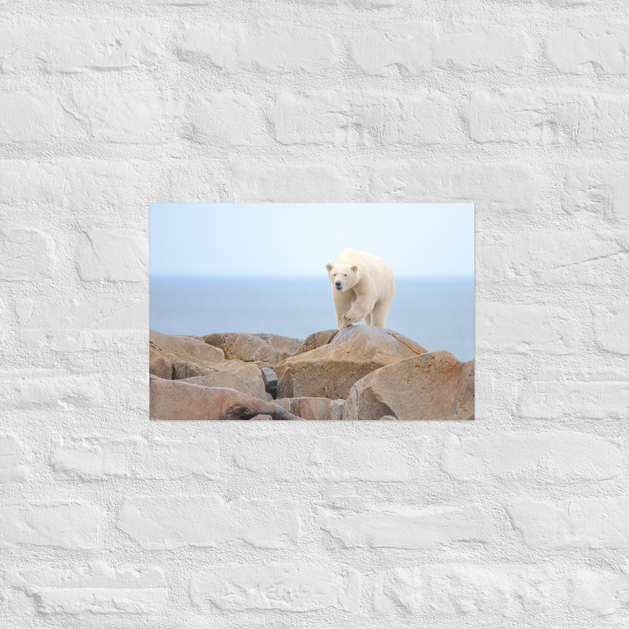 Minding the Cache - Premium Photo Print (no frame) - Image 4