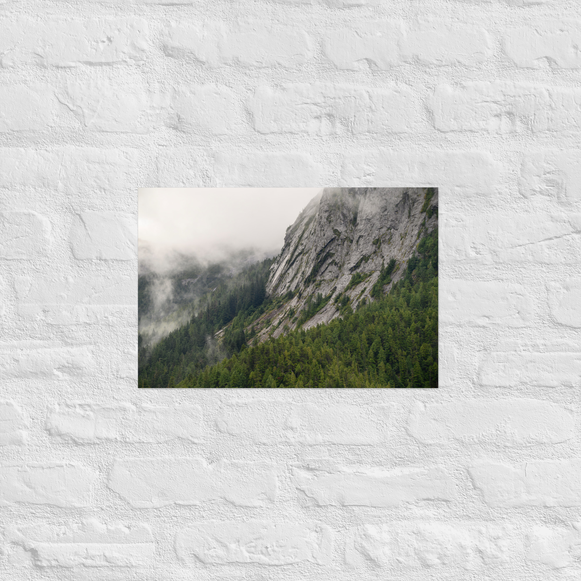A forest built on rock - Premium Photo Print (no frame) - Image 4