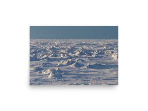 Home of the Polar Bear - Premium Photo Print (no frame)