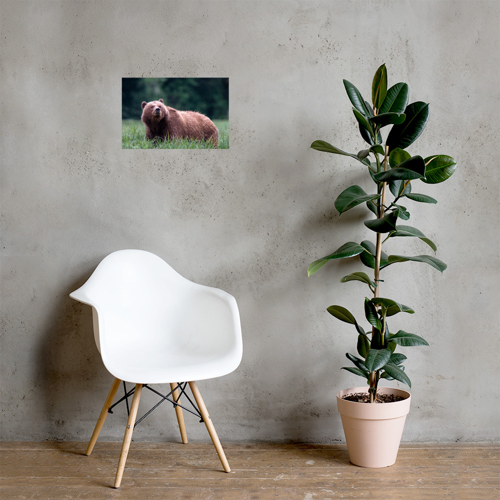 Estuary Grazer Caught in the Rain - Premium Photo Print (no frame) - Image 3