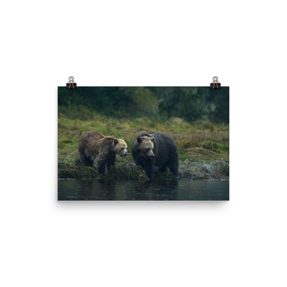 Onlookers - Premium Photo Print (no frame) - Image 2