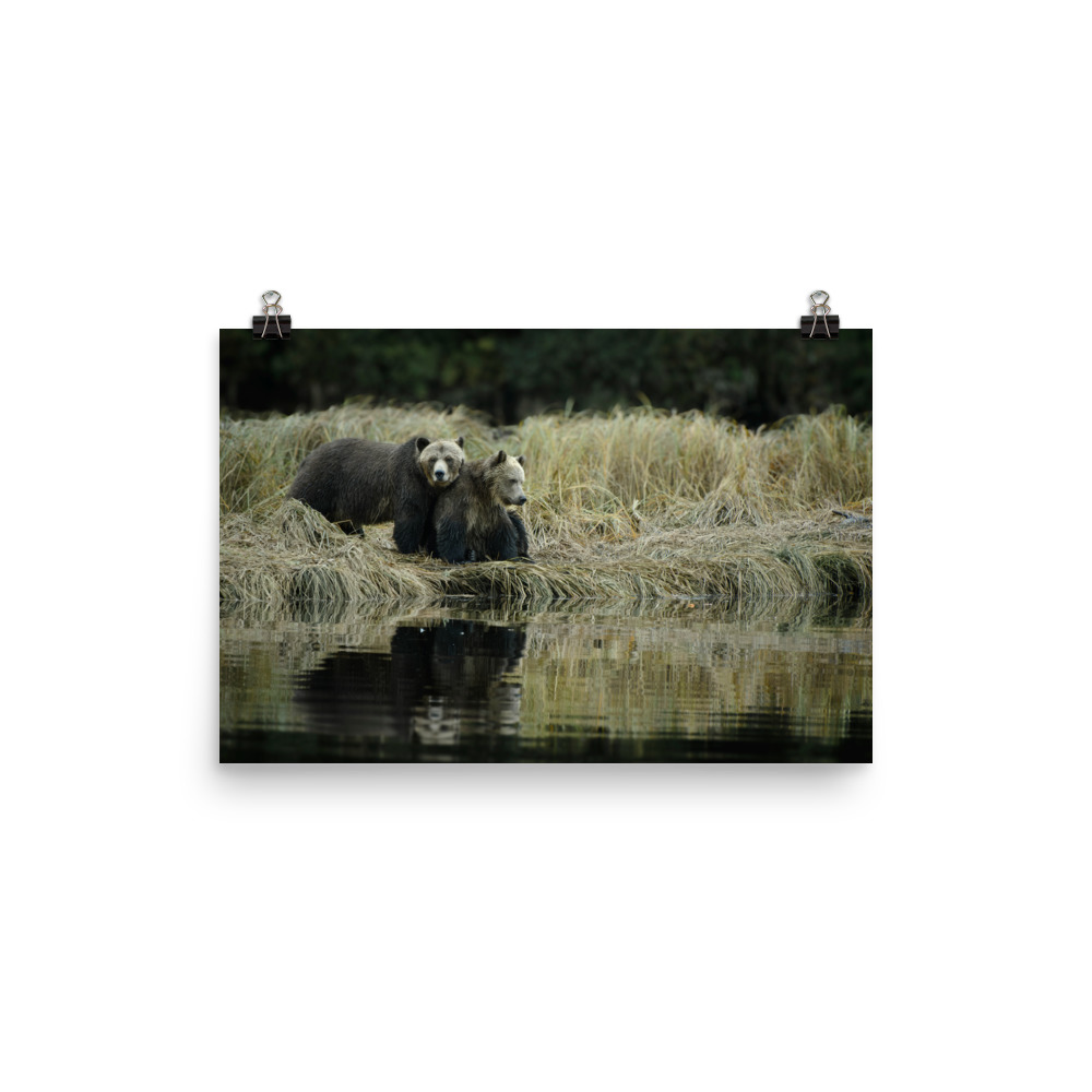 Family Reflections - Premium Photo Print (no frame) - Image 2
