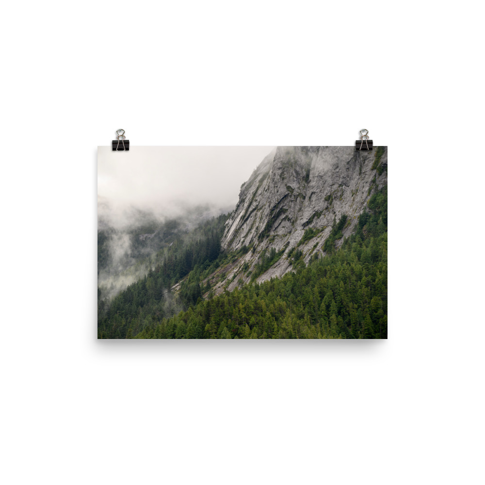 A forest built on rock - Premium Photo Print (no frame) - Image 2