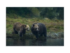 Onlookers - Premium Photo Print (no frame)