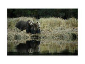 Family Reflections - Premium Photo Print (no frame)